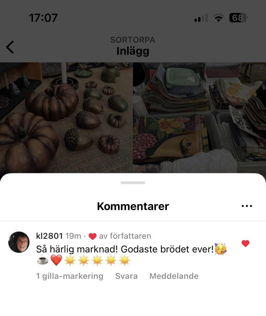 IMG 9631
